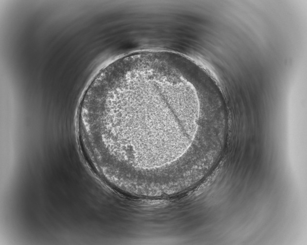 X0000095671382200802051221