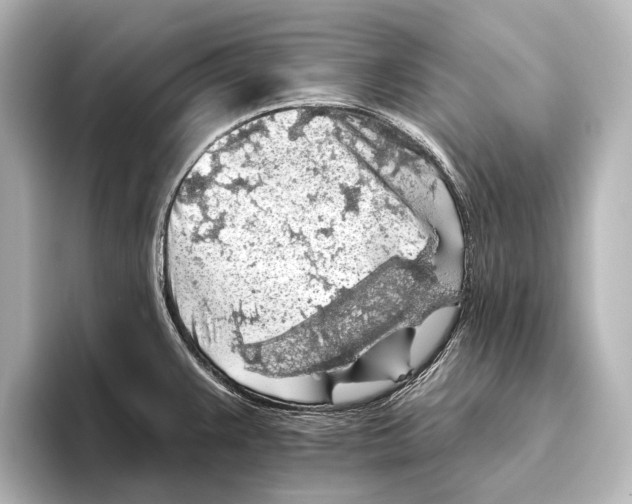 X0000095671383200802051221