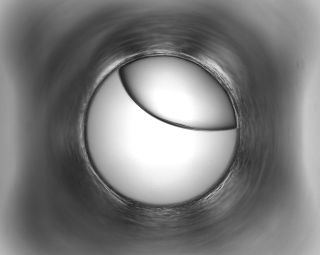 X0000095671384200802051221