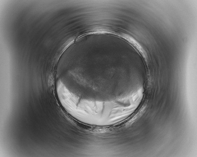 X0000095671385200802051221