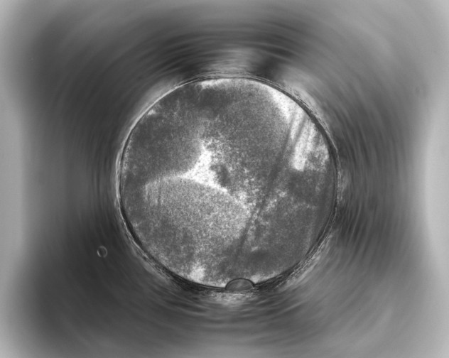 X0000095671386200802051221