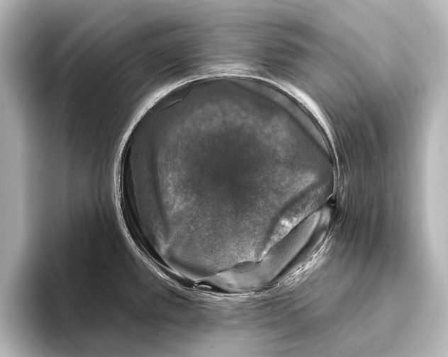 X0000095671389200802051221