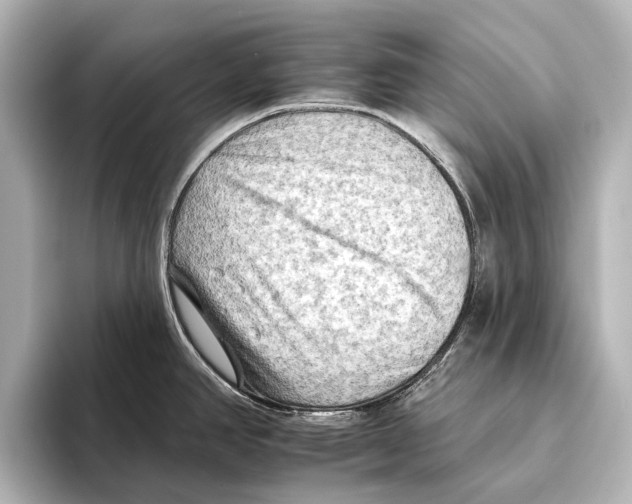 X0000095671390200802051221