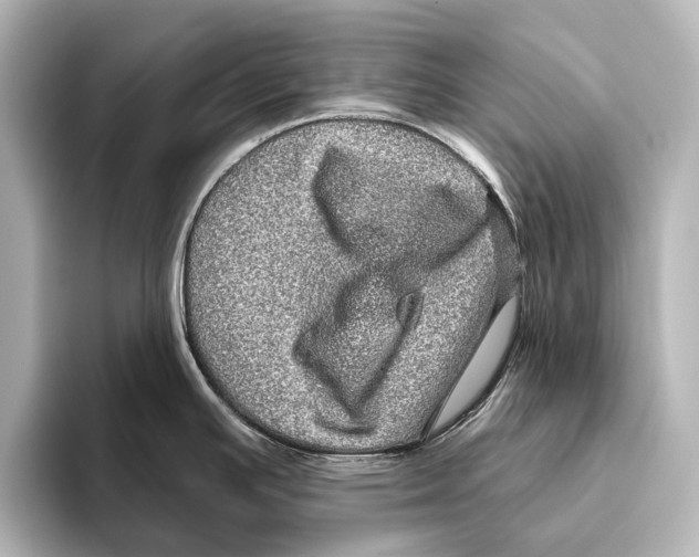 X0000095671391200802051221