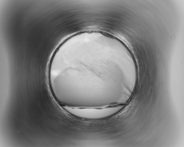 X0000095671392200802051221