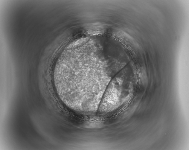 X0000095671393200802051220