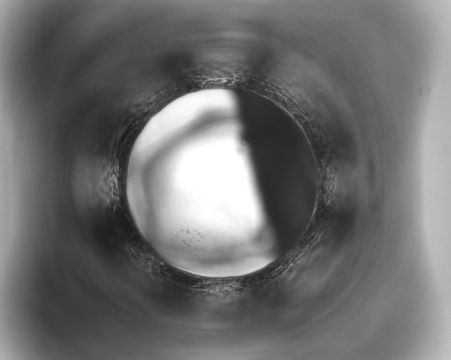 X0000095671394200802051220