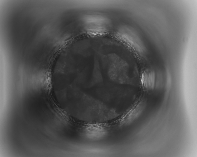 X0000095671396200802051220