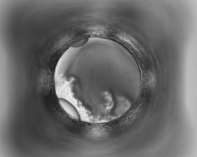 X0000095671399200802051220