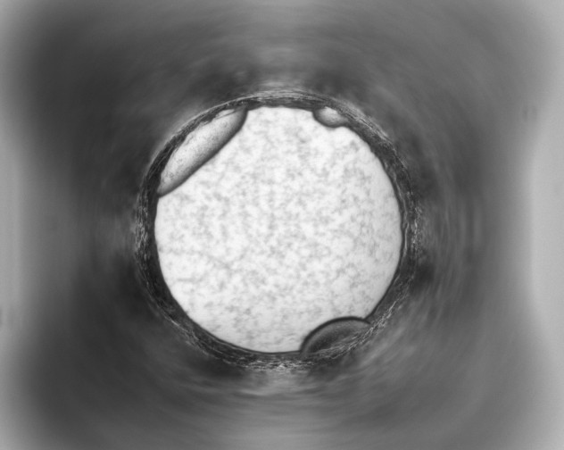 X0000095671400200802051220