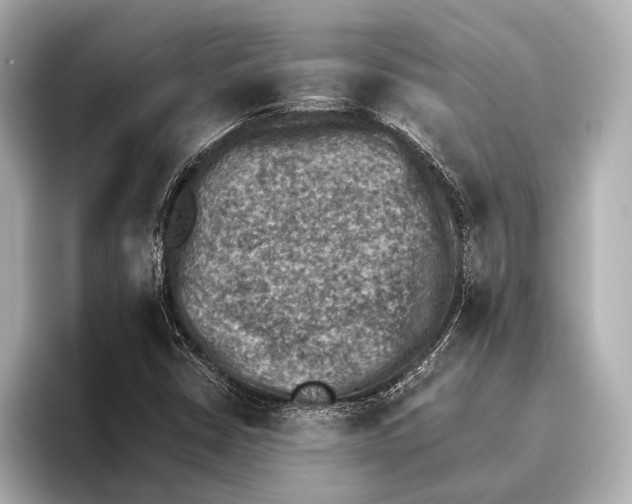 X0000095671402200802051220