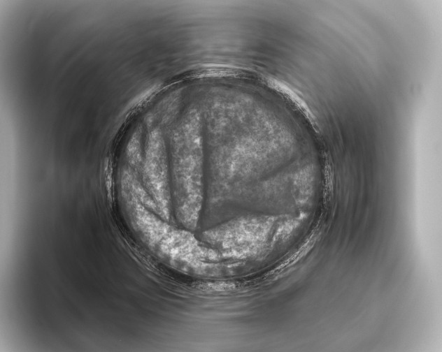 X0000095671403200802051220