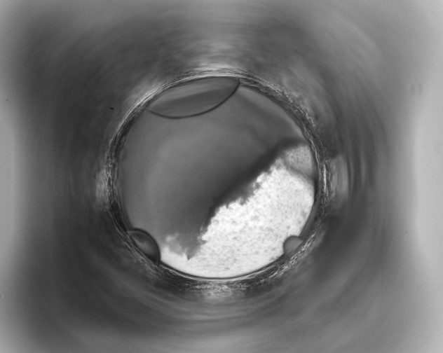 X0000095671405200802051220