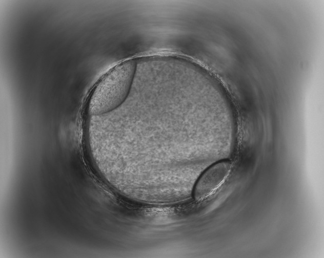 X0000095671406200802051220