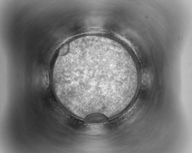 X0000095671407200802051220