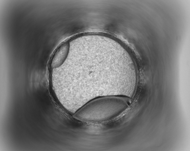 X0000095671408200802051220