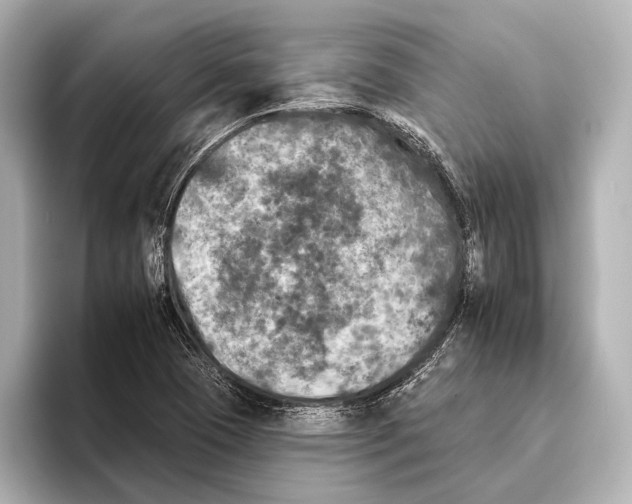 X0000095671409200802051220