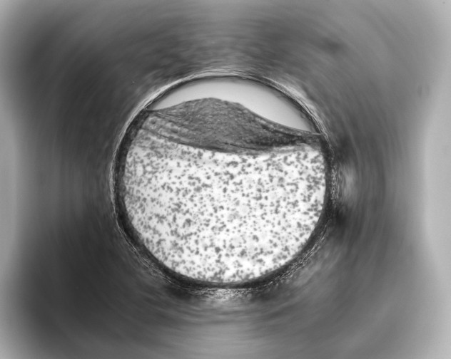 X0000095671412200802051220