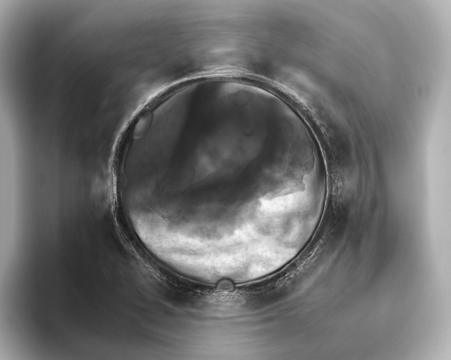 X0000095671414200802051220