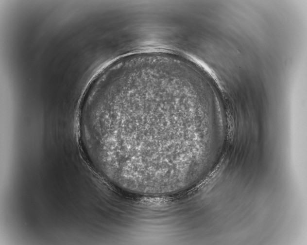 X0000095671415200802051220