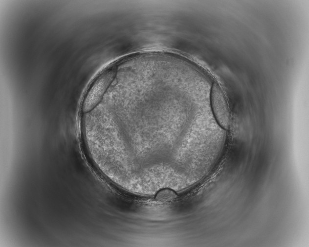 X0000095671416200802051221