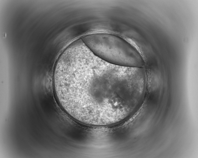 X0000095671417200802051221