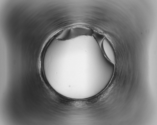 X0000095671418200802051221