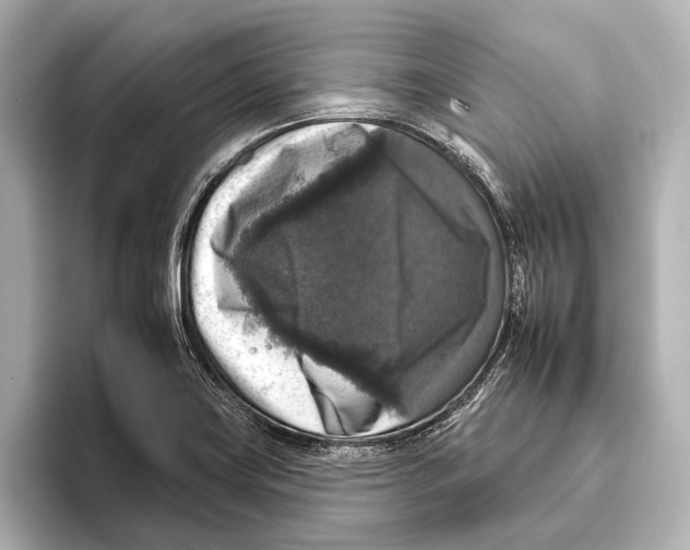 X0000095671419200802051221