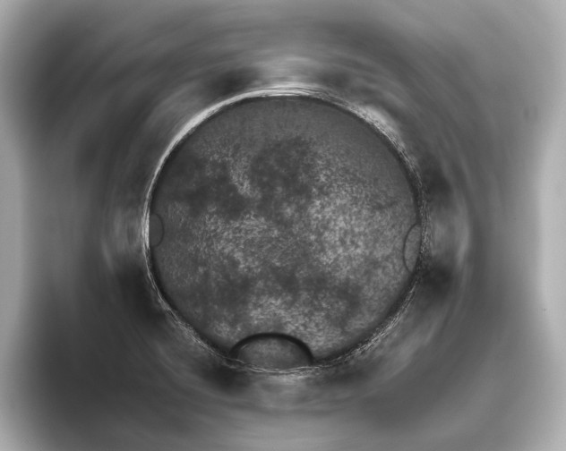 X0000095671420200802051221