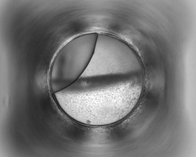 X0000095671421200802051221