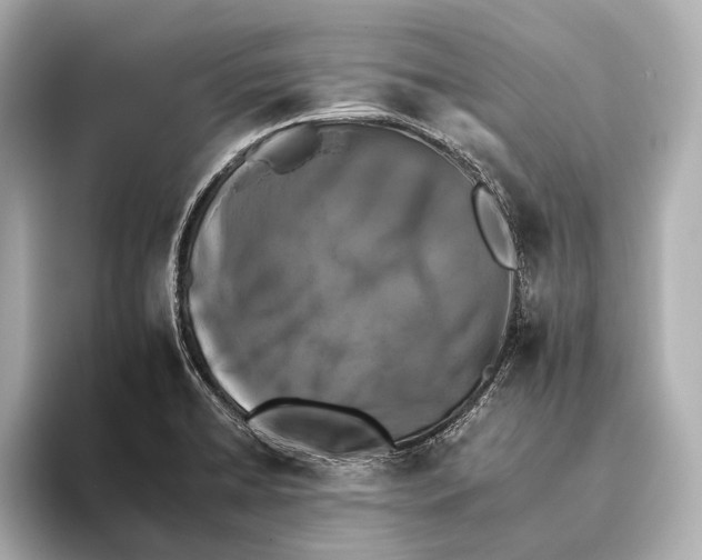 X0000095671422200802051221