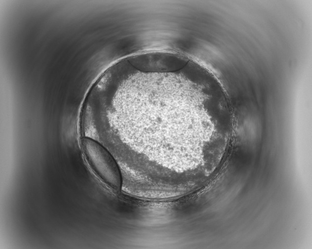 X0000095671423200802051221