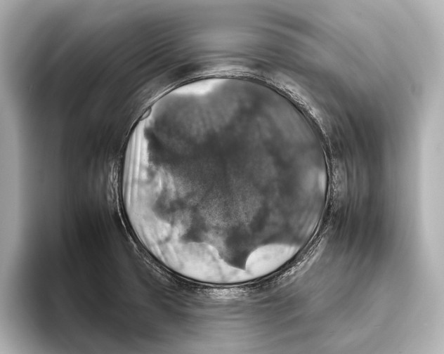 X0000095671425200802051221