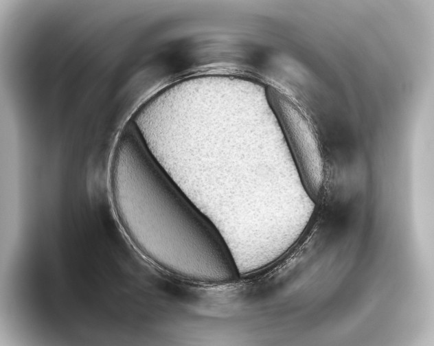 X0000095671426200802051221