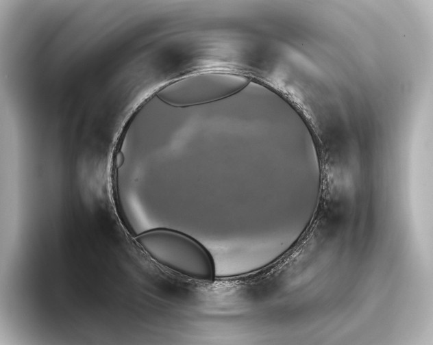 X0000095671427200802051221