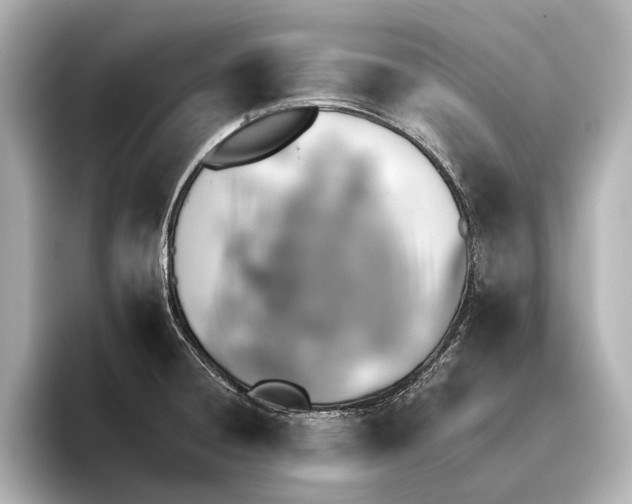 X0000095671428200802051221