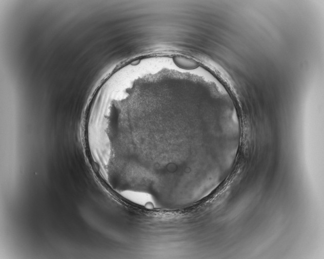 X0000095671429200802051221