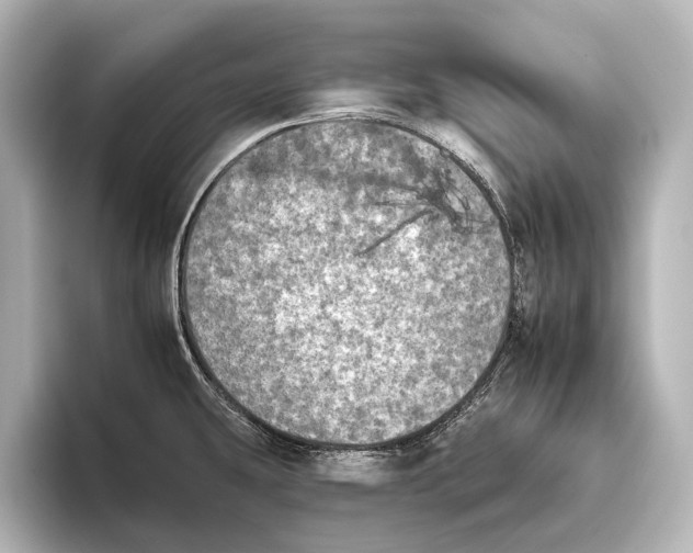 X0000095671431200802051221