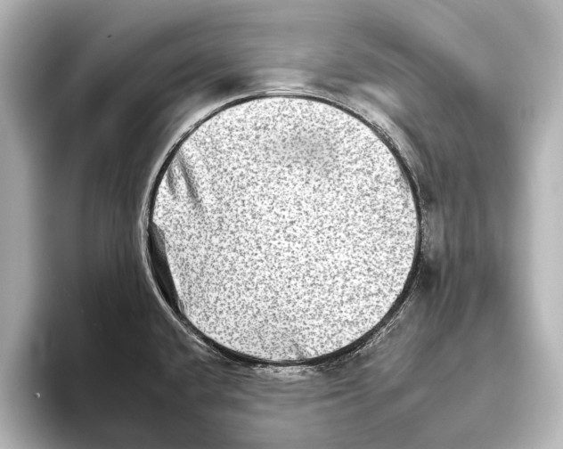 X0000095671432200802051221