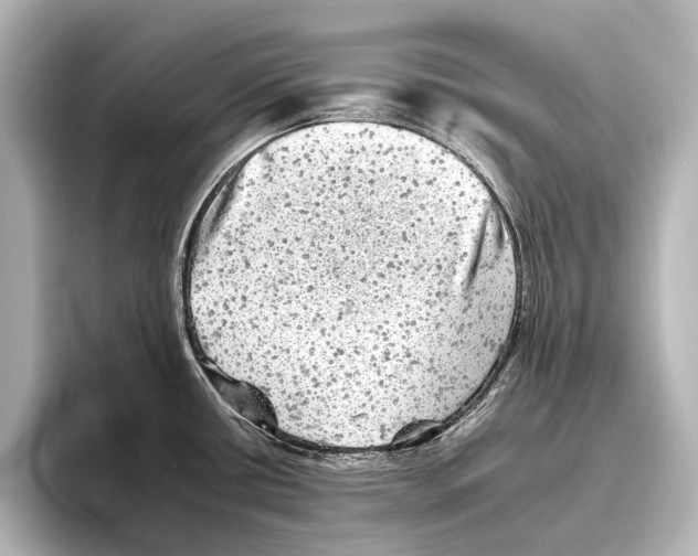 X0000095671434200802051221