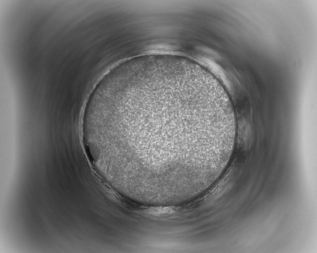 X0000095671435200802051221