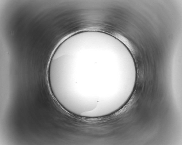 X0000095671436200802051221