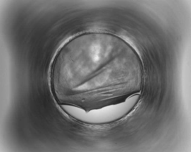 X0000095671437200802051221