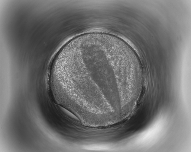 X0000095671438200802051221