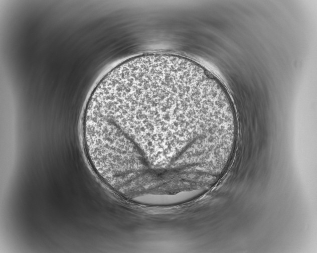 X0000095671440200802051221