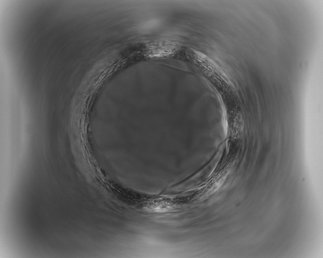 X0000095671441200802051220