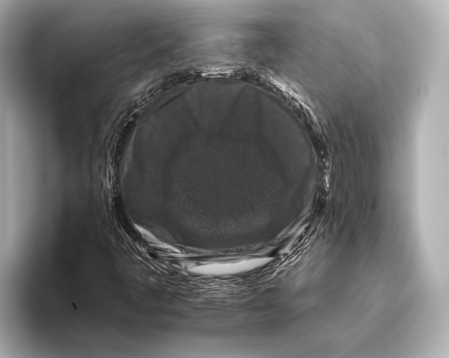 X0000095671445200802051220