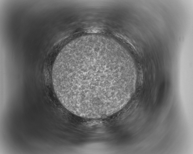 X0000095671446200802051220