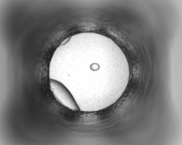 X0000095671447200802051220