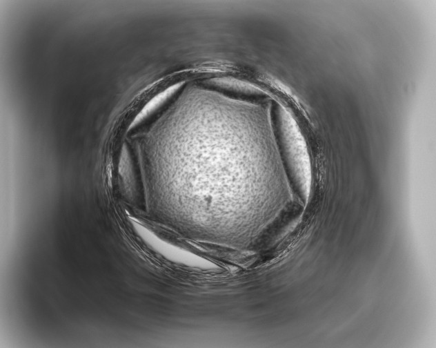 X0000095671448200802051220